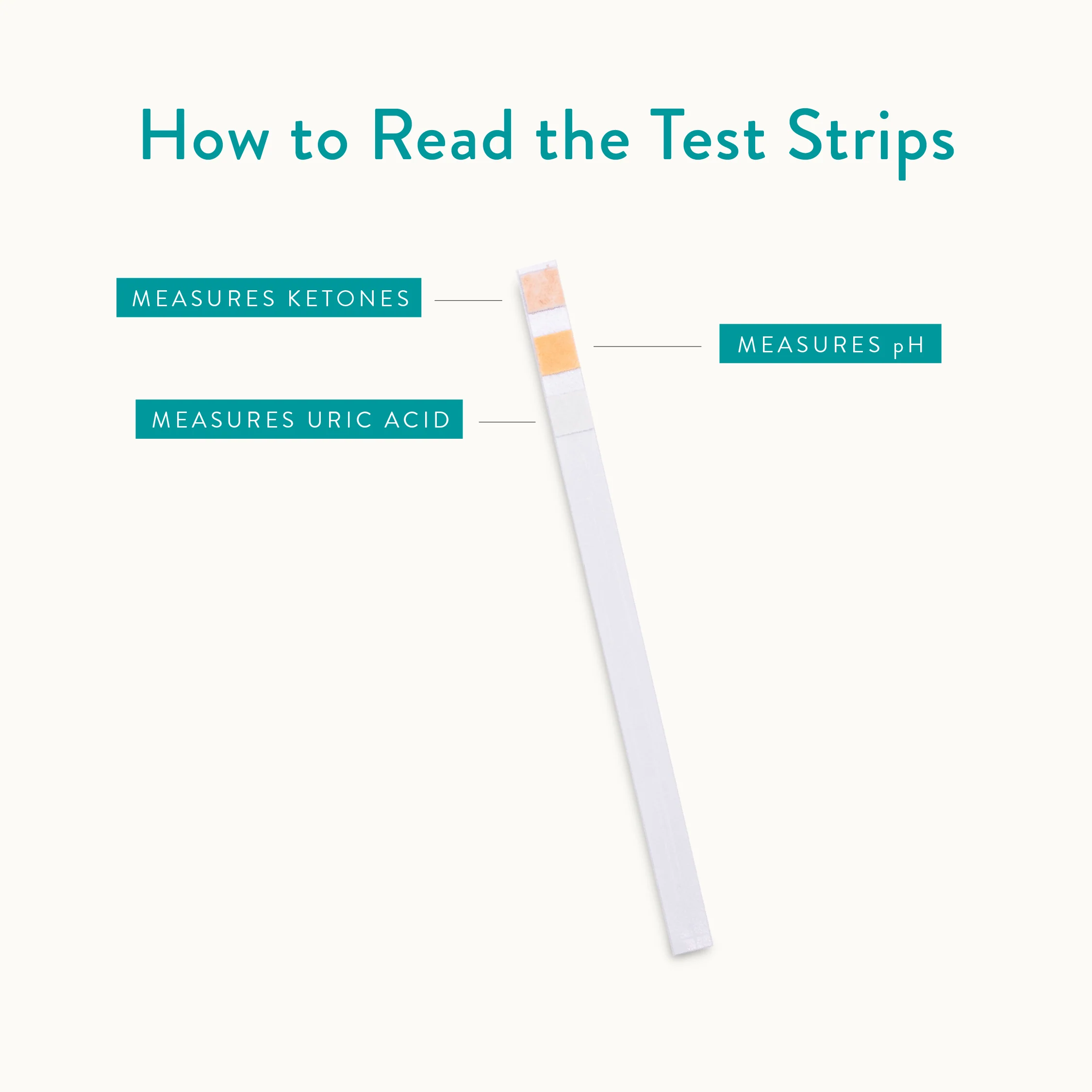 Keto-pH® Uric Acid Test Strips - Image 5