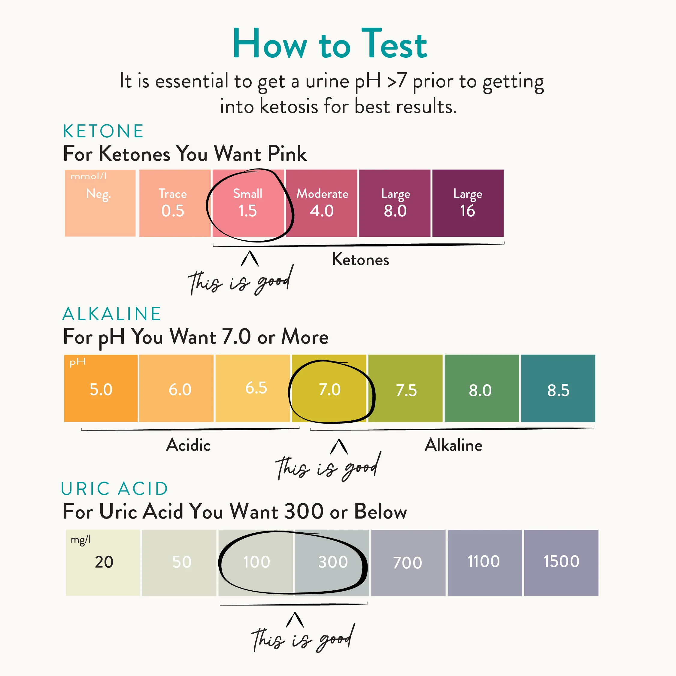Keto-pH® Uric Acid Test Strips - Image 4