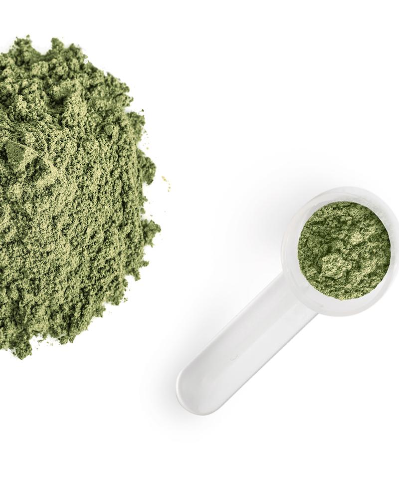 Mighty Maca® Plus Trial Pack - Image 4